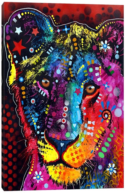 Young Lion Canvas Art Print - Dean Russo
