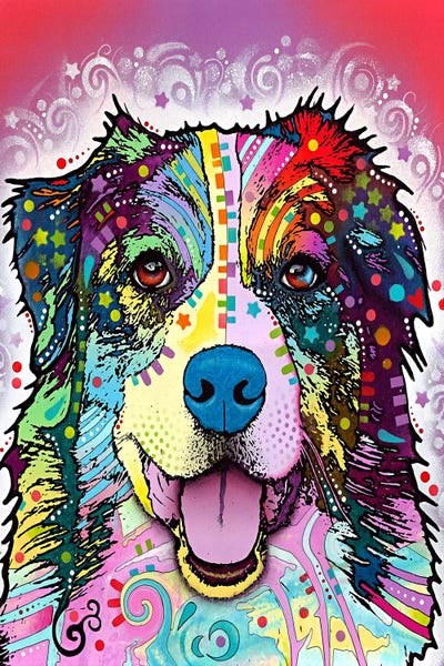 Australian Shepherds: Australian Shepherd by Dean Russo