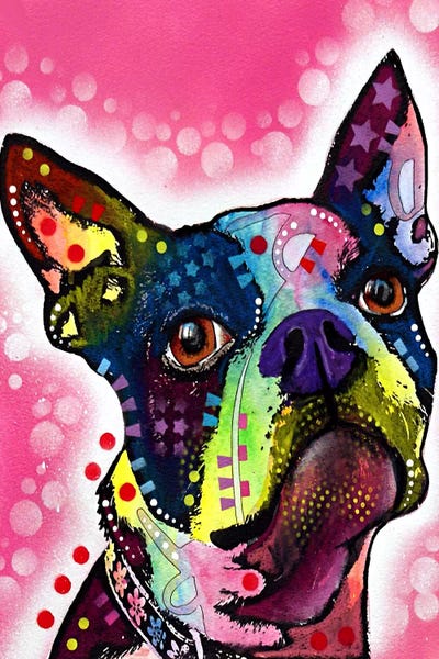 Boston Terrier Canvas Wall Art By Dean Russo ICanvas   4218