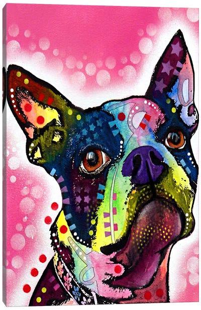 Boston Terrier Canvas Art Print - Mixed Media Art