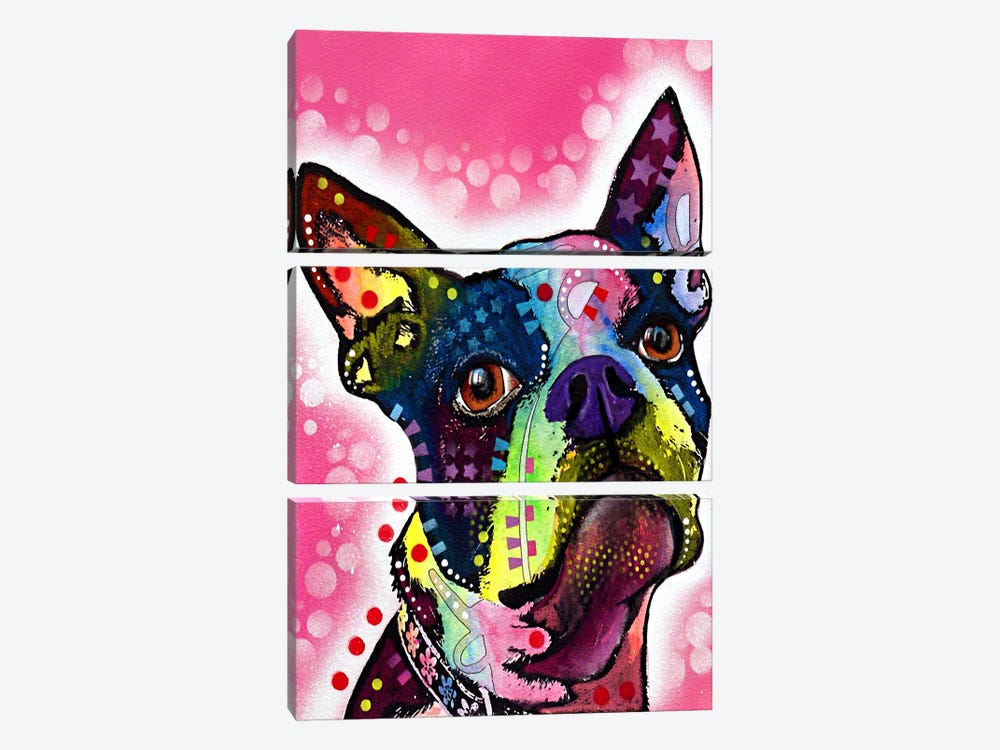 Boston Terrier by Dean Russo 3-piece Canvas Art