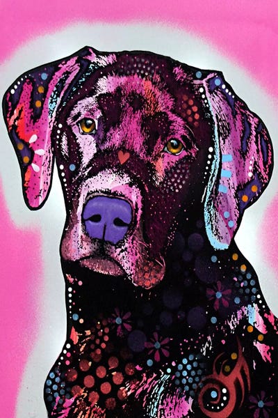 Labrador Retrievers: Black Lab by Dean Russo