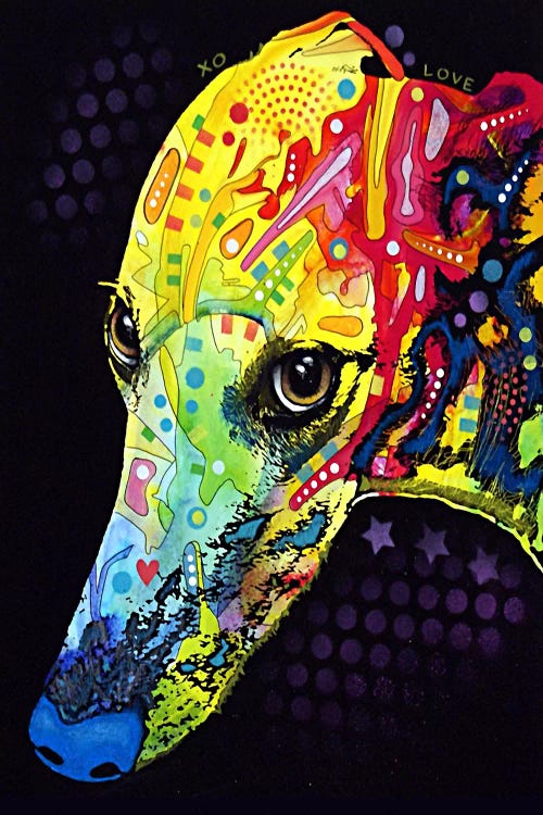 Greyhound by Dean Russo wall art