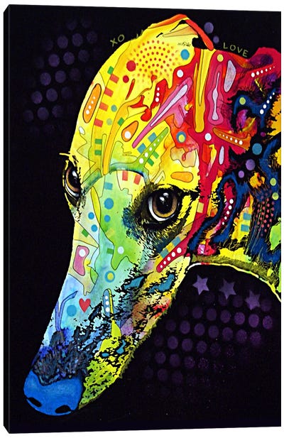 Greyhound Canvas Art Print - Dean Russo