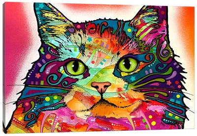 Ragamuffin Canvas Art Print - Cat Art