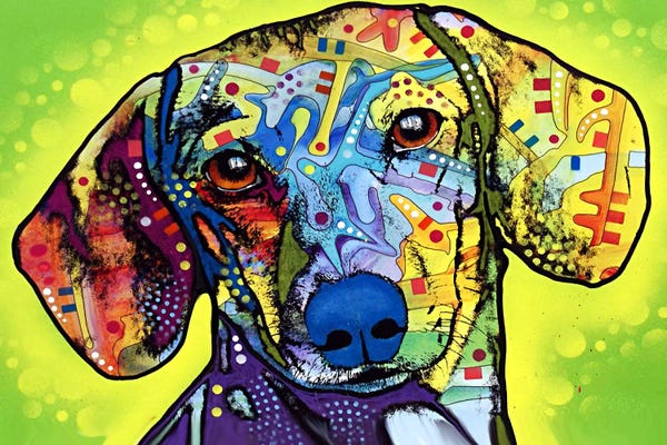 Dachshunds: Dachshund by Dean Russo