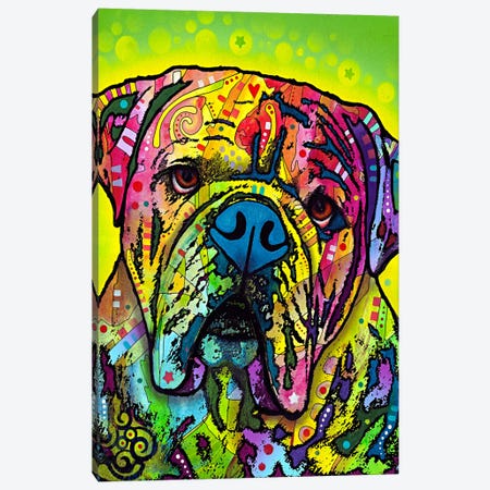 Hey Bulldog Canvas Print #4252} by Dean Russo Canvas Print