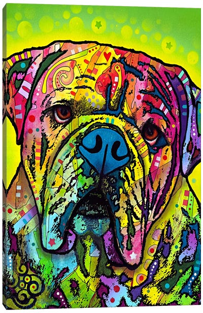 Hey Bulldog Canvas Art Print - Dean Russo