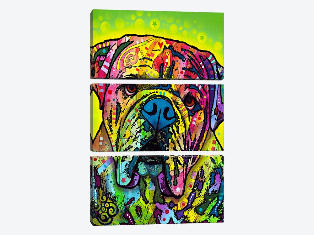 Hey Bulldog by Dean Russo 3-piece Canvas Wall Art