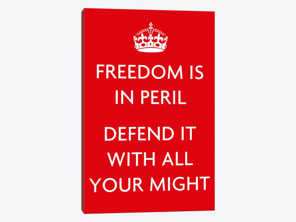 Freedom Is In Peril by Unknown Artist 1-piece Canvas Artwork