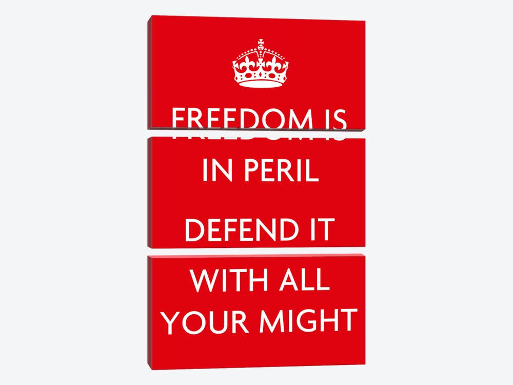 Freedom Is In Peril by Unknown Artist 3-piece Canvas Artwork