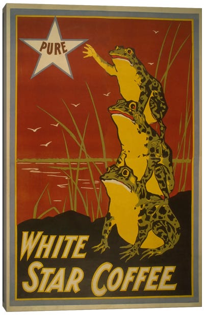 White Star Coffee Brand Label Vintage Poster Canvas Art Print - Frog Art