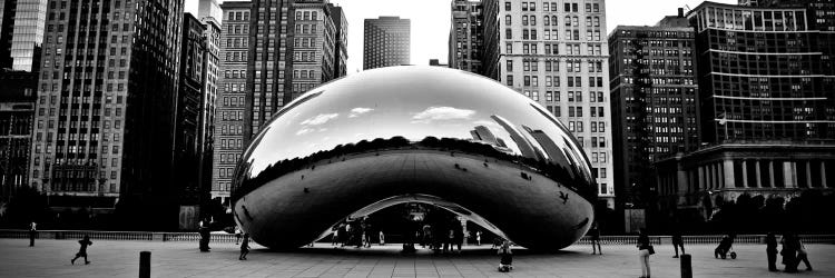 chicago bean black and white