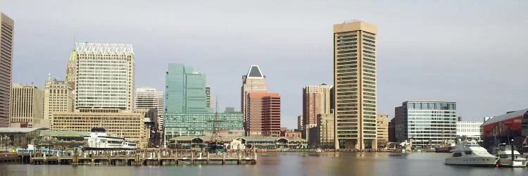 Baltimore Panoramic Skyline II Cityscape