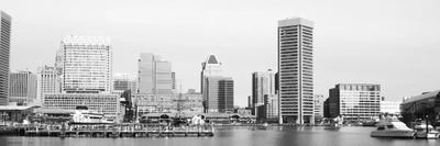 Baltimore Panoramic Skyline II Black & White Cityscape by Unknown Artist multi panel art