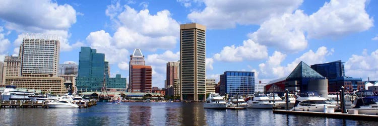 Baltimore Panoramic Skyline Cityscape by Unknown Artist wall art