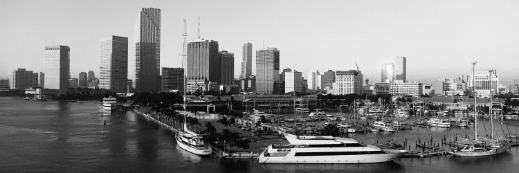 Miami Panoramic Skyline Cityscape (Black & White - Sunrise)