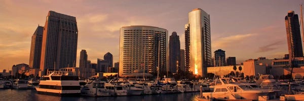 San Diego: San Diego Panoramic Skyline Cityscape by Unknown Artist