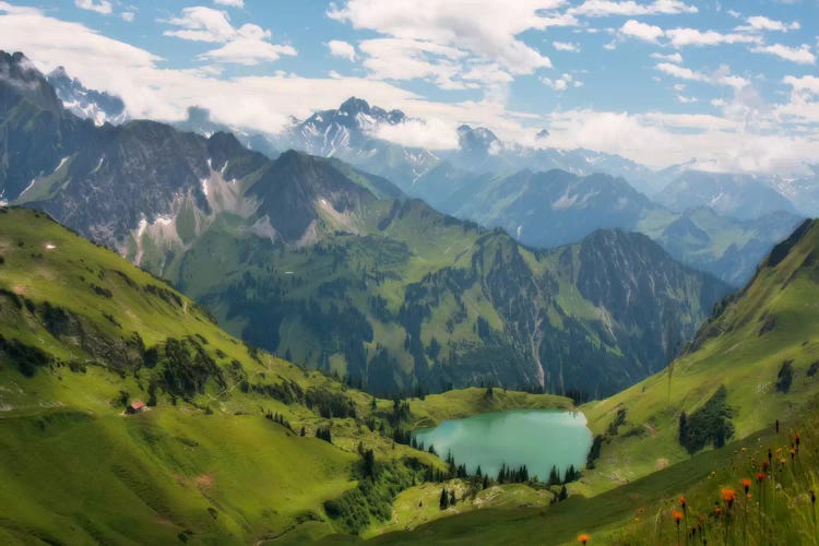 Swiss Alps Spring Mountain Landscape by Unknown Artist wall art