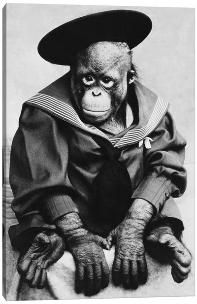 Monkey In Graduation Outfit Vintage Photopgraph Canvas Art Print - Black & White Animal Art