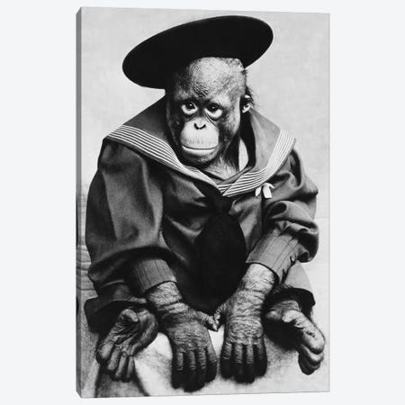 Monkey In Graduation Outfit Vintage Photopgraph Canvas Print #7027} by Unknown Artist Canvas Print