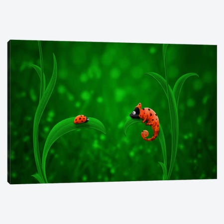 Ladybug & Chameleon Canvas Print #7119} by Unknown Artist Canvas Wall Art