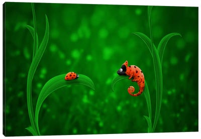 Ladybug & Chameleon Canvas Art Print - Chameleons