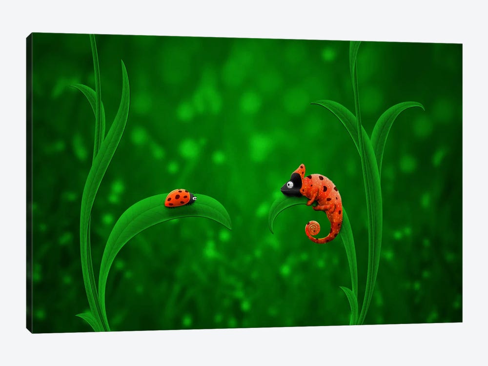 Ladybug & Chameleon by Unknown Artist 1-piece Canvas Print