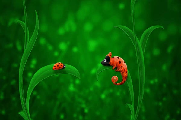 Chameleons: Ladybug & Chameleon by Unknown Artist