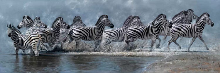 Flight of The Zebras