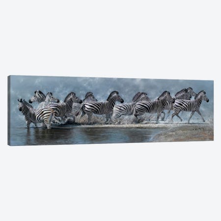 Flight of The Zebras Canvas Print #7140} by Pip McGarry Canvas Print