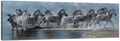 Flight of The Zebras Canvas Art Print - Zebra Art