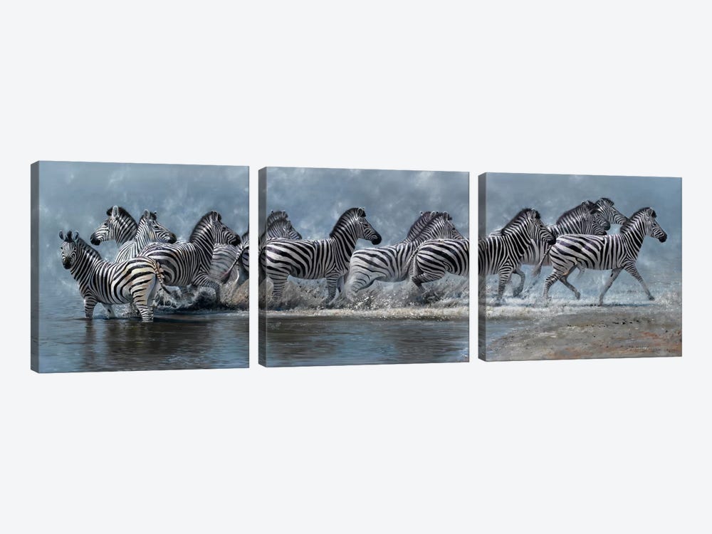 Flight of The Zebras 3-piece Art Print