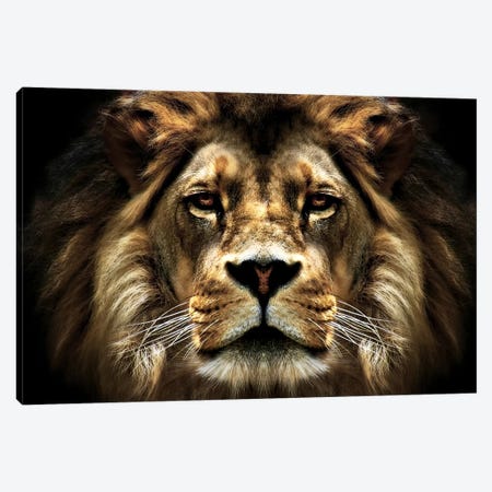 The Lion Canvas Print #7142} by SD Smart Canvas Art Print