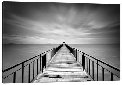 Withstand Canvas Art Print - Black & White Photography