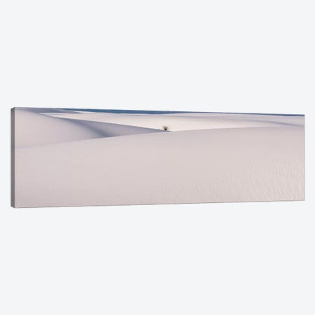 White Sands Canvas Print #7176} by Dan Ballard Canvas Print