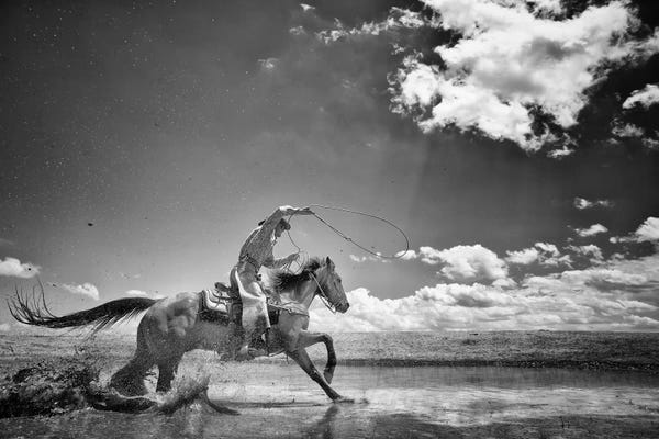 Equestrian: Walk on Water by Dan Ballard