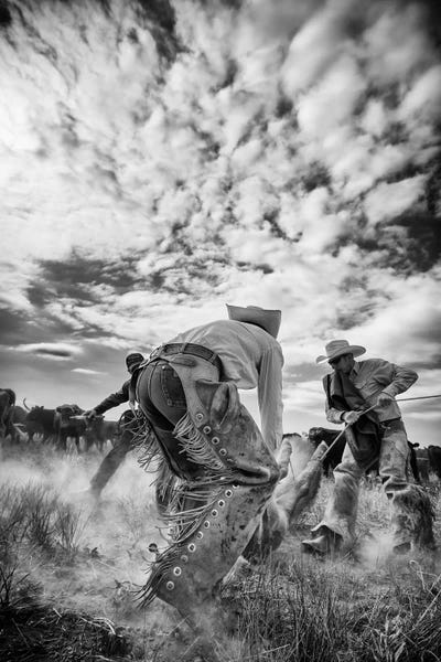 Dan Ballard: Dust by Dan Ballard