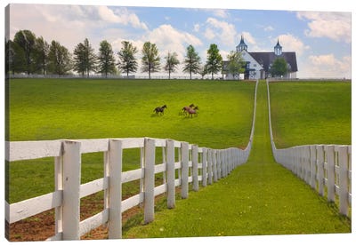 Manchester Farm, Kentucky 08 - Color Canvas Art Print - Horse Art