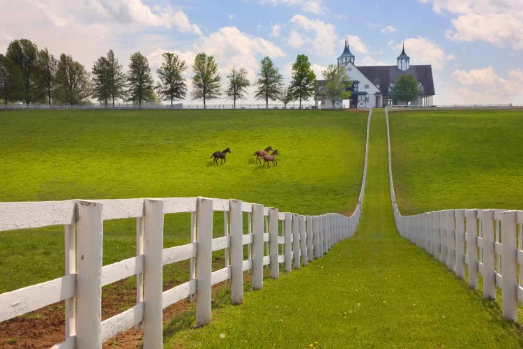 Manchester Farm, Kentucky 08 - Color by Monte Nagler wall art