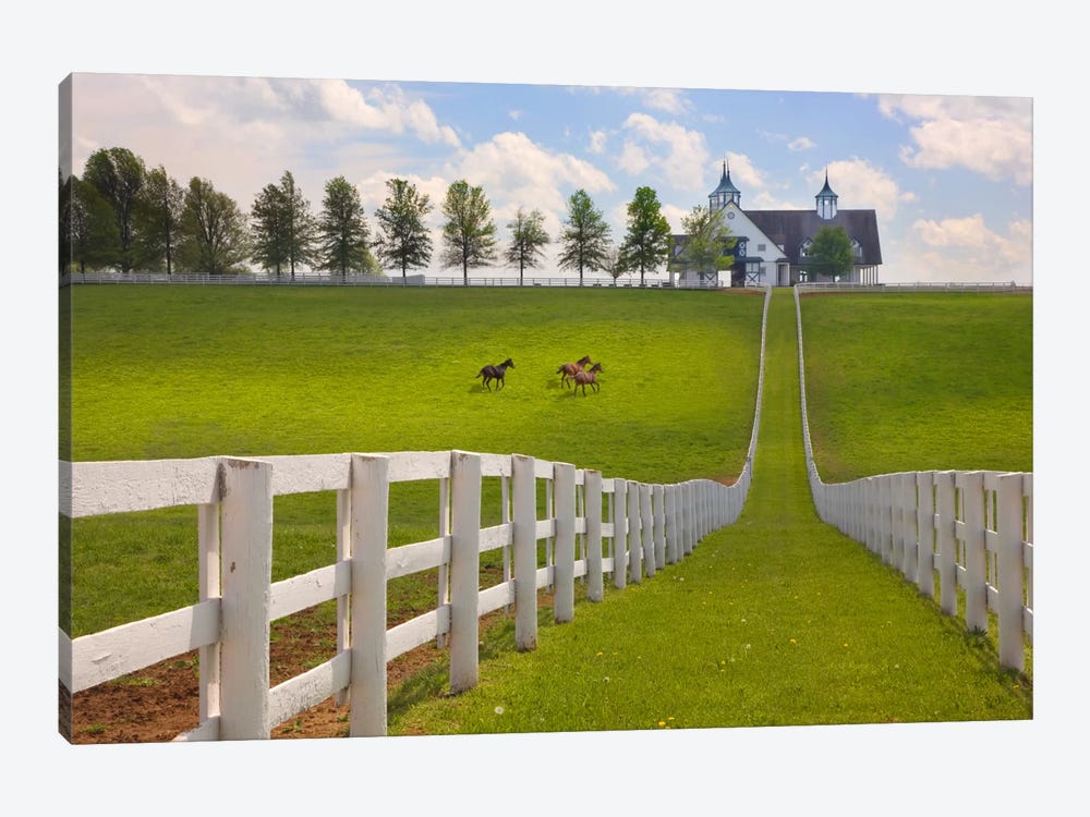 Manchester Farm, Kentucky 08 - Color by Monte Nagler 1-piece Canvas Art Print