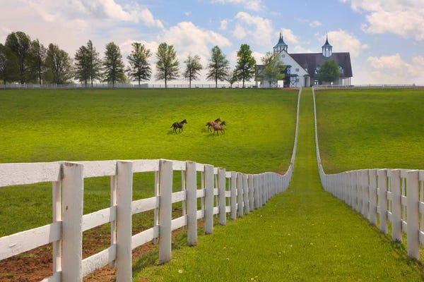 Country: Manchester Farm, Kentucky 08 - Color by Monte Nagler