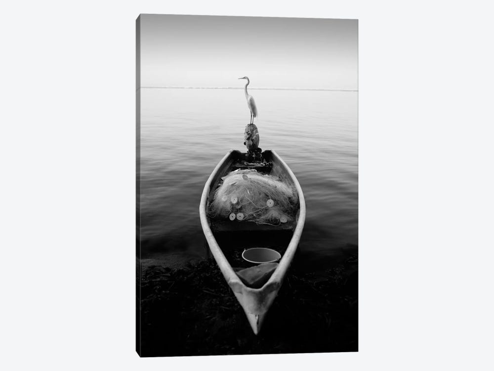 Canoe And A Heron by Moises Levy 1-piece Canvas Art Print