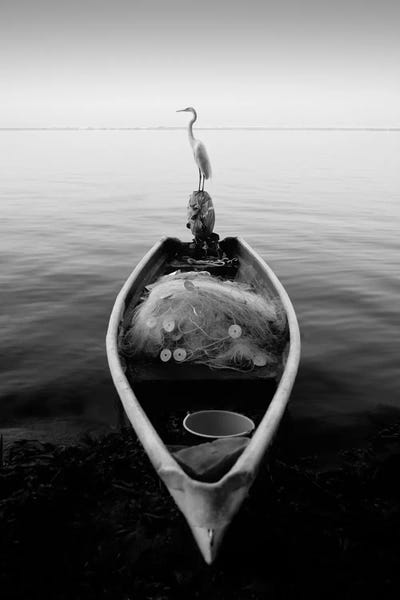 Moises Levy: Canoe And A Heron by Moises Levy