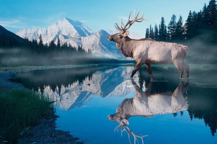 Reflections of Glacier