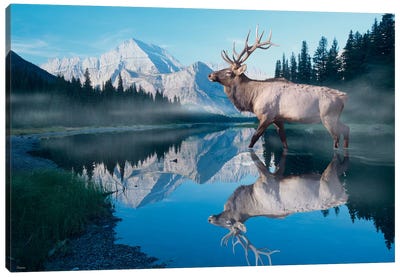 Reflections of Glacier Canvas Art Print - Elk Art
