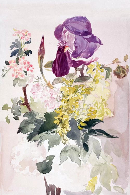 Flower Piece with Iris, Laburnum, and Geranium