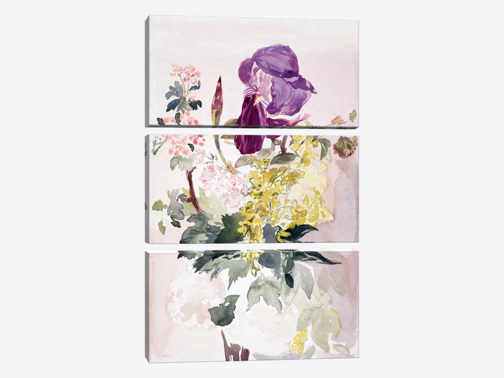 Flower Piece with Iris, Laburnum, and Geranium 3-piece Canvas Print