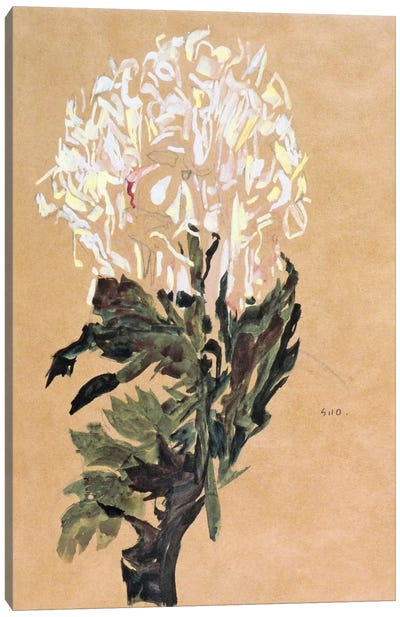 White Chrysanthemum Canvas Art Print - Egon Schiele