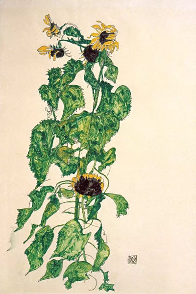 Expressionism: Sunflowers II by Egon Schiele
